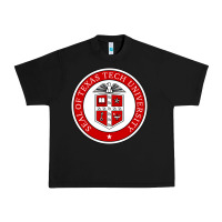 Black Texas Tech University Urban Heavy Tee - linhVisuals