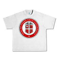 Lunar Rock Texas Tech University Urban Heavy Tee - linhVisuals
