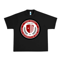 Black Stony Brook University Urban Heavy Tee - linhVisuals
