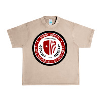 French Oak Stony Brook University Urban Heavy Tee - linhVisuals