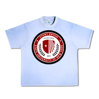 Grape Ice Stony Brook University Urban Heavy Tee - linhVisuals