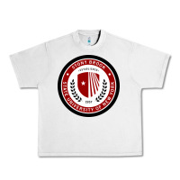 Lunar Rock Stony Brook University Urban Heavy Tee - linhVisuals