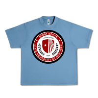Pebble Blue Stony Brook University Urban Heavy Tee - linhVisuals