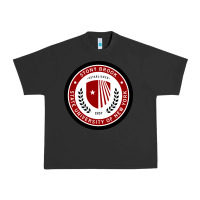 Pigment Black Stony Brook University Urban Heavy Tee - linhVisuals