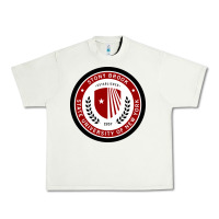 Pistachio Stony Brook University Urban Heavy Tee - linhVisuals