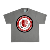Tornado Stony Brook University Urban Heavy Tee - linhVisuals