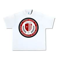 White Stony Brook University Urban Heavy Tee - linhVisuals
