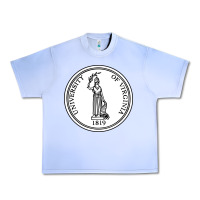 Grape Ice University of Virginia Urban Heavy Tee - linhVisuals