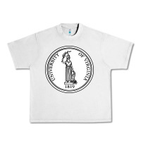 Lunar Rock University of Virginia Urban Heavy Tee - linhVisuals