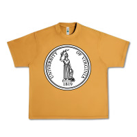 Peanut Butter University of Virginia Urban Heavy Tee - linhVisuals
