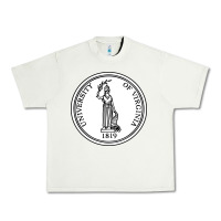 Pistachio University of Virginia Urban Heavy Tee - linhVisuals