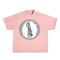 Salmon University of Virginia Urban Heavy Tee - linhVisuals