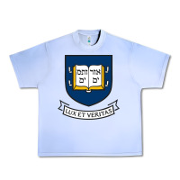 Grape Ice Yale University Urban Heavy Tee - linhVisuals