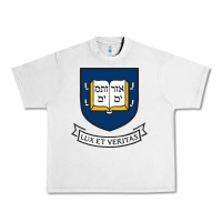 Lunar Rock Yale University Urban Heavy Tee - linhVisuals