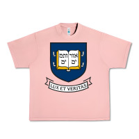Salmon Yale University Urban Heavy Tee - linhVisuals