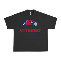 Pigment Black v-h4wks, viterbo, education Urban Heavy Tee - linhVisuals