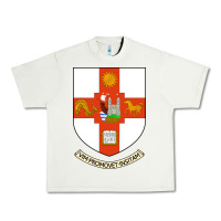 Pistachio university bristol Urban Heavy Tee - linhVisuals