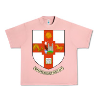 Salmon university bristol Urban Heavy Tee - linhVisuals