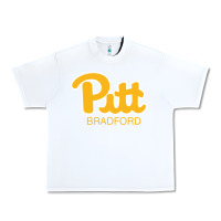 White pitt bradford, University of Pittsburgh at Bradford, Urban Heavy Tee - linhVisuals