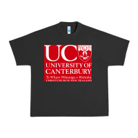 Pigment Black university canterbury Urban Heavy Tee - linhVisuals