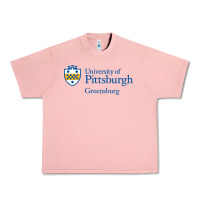 Salmon University of Pittsburgh at Greensburg, Urban Heavy Tee - linhVisuals