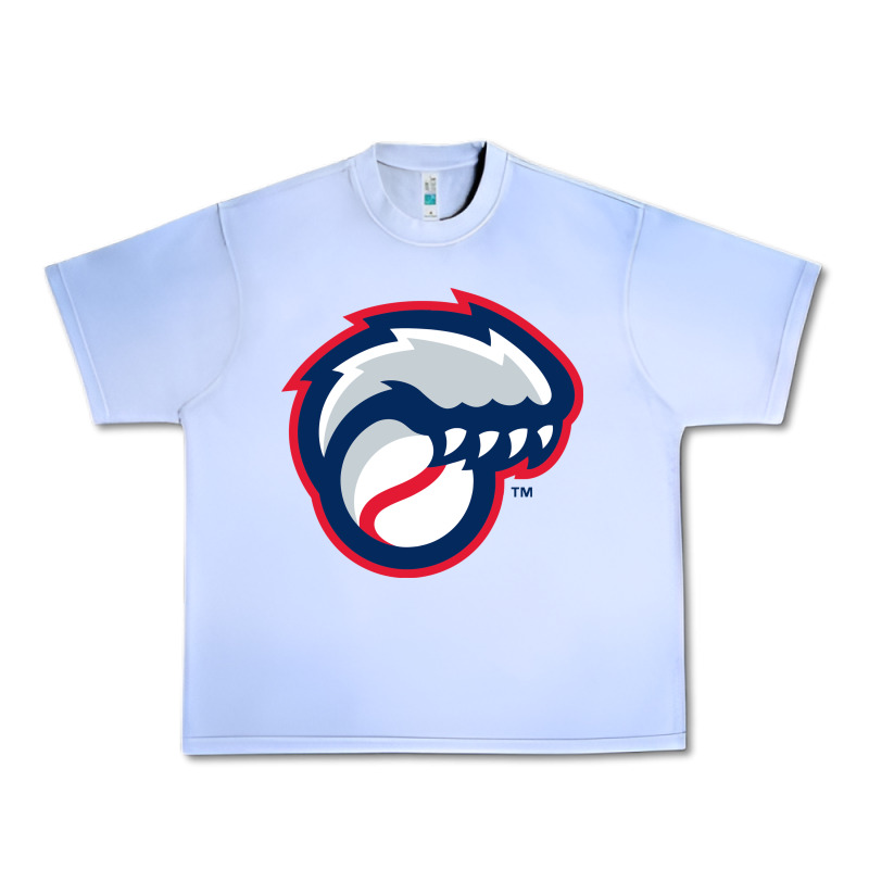 New Hampshire Fisher Cats Urban Heavy Tee by linhVisuals | Teevron