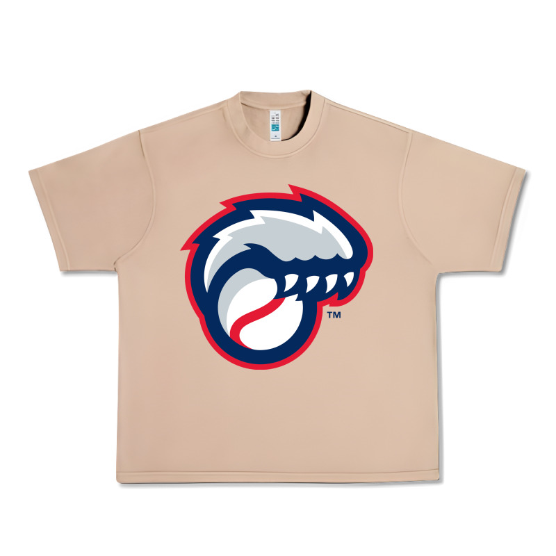New Hampshire Fisher Cats Urban Heavy Tee by linhVisuals | Teevron