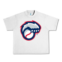 Lunar Rock new hampshire fisher cats Urban Heavy Tee - linhVisuals