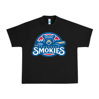 Black tennessee smokies Urban Heavy Tee - linhVisuals