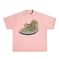 Salmon a. lange & söhne Urban Heavy Tee - linhVisuals