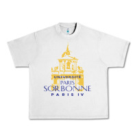 Lunar Rock universite paris la sorbonne Urban Heavy Tee - linhVisuals