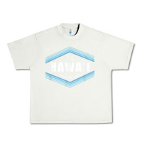 Pistachio hawaii the aloha state   aloha hawaiian from the islands!! t shirt Urban Heavy Tee - linhVisuals