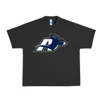 Pigment Black akron university zips Urban Heavy Tee - linhVisuals