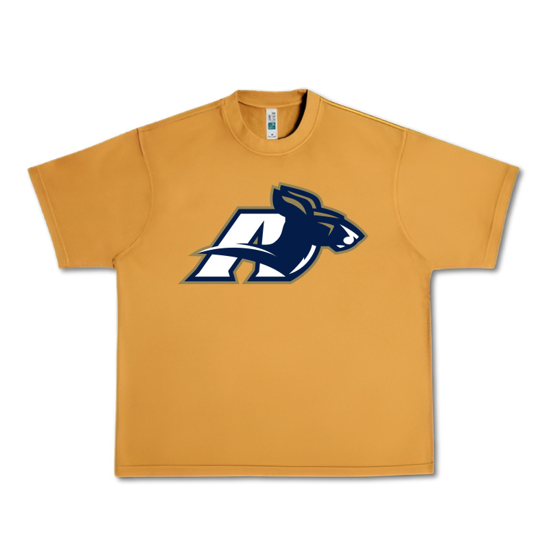 Akron University Zips Urban Heavy Tee by linhVisuals | Teevron