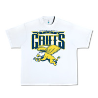Canisius Golden Griffins College Urban Heavy Tee | Teevron