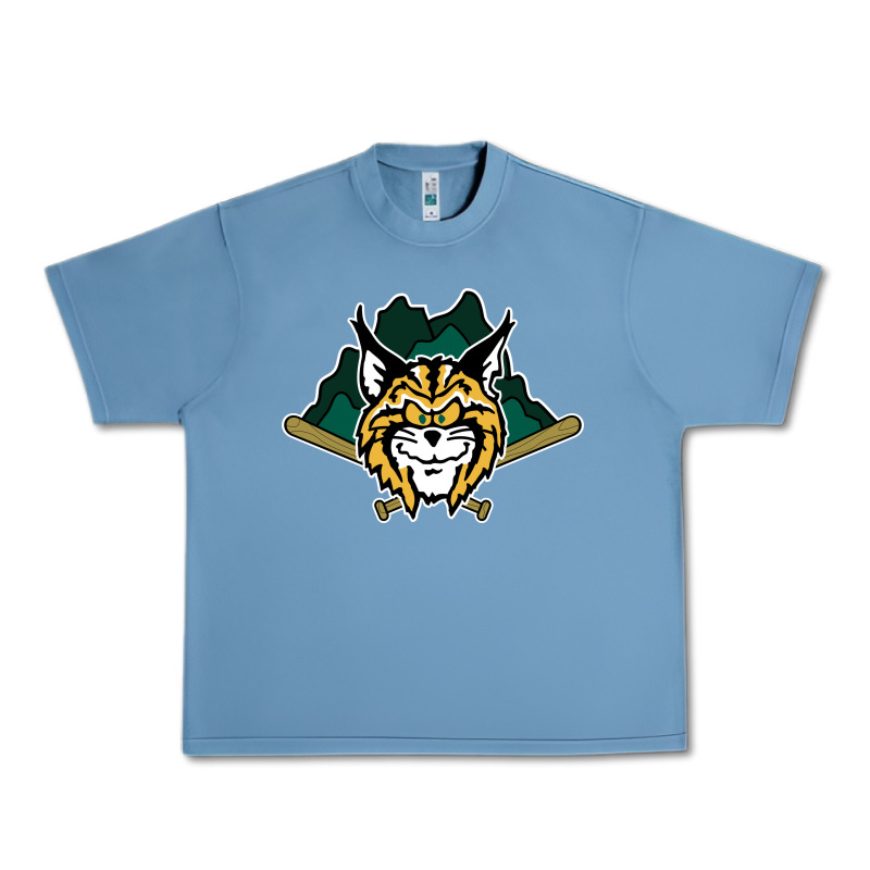 Lynchburg Hillcats Baseball Urban Heavy Tee by linhVisuals | Teevron