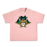 Salmon lynchburg hillcats Baseball Urban Heavy Tee - linhVisuals