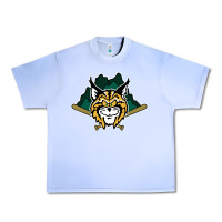 Grape Ice lynchburg hillcats Baseball Urban Heavy Tee - linhVisuals