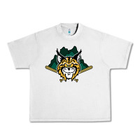 Lunar Rock lynchburg hillcats Baseball Urban Heavy Tee - linhVisuals