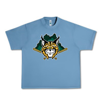 Pebble Blue lynchburg hillcats Baseball Urban Heavy Tee - linhVisuals