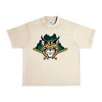 Lynchburg Hillcats Baseball Urban Heavy Tee | Teevron