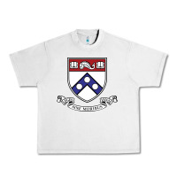 Lunar Rock the pennsylvania quakers Urban Heavy Tee - linhVisuals