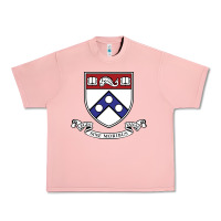 Salmon the pennsylvania quakers Urban Heavy Tee - linhVisuals