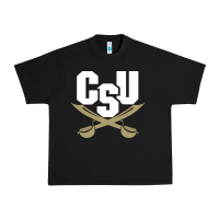 Black charleston southern buccaneers Urban Heavy Tee - linhVisuals