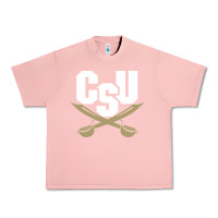 Salmon charleston southern buccaneers Urban Heavy Tee - linhVisuals