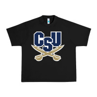 Black charleston southern buccaneers Urban Heavy Tee - linhVisuals