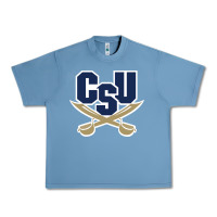 Pebble Blue charleston southern buccaneers Urban Heavy Tee - linhVisuals