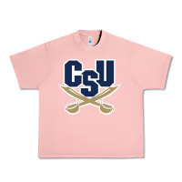 Salmon charleston southern buccaneers Urban Heavy Tee - linhVisuals
