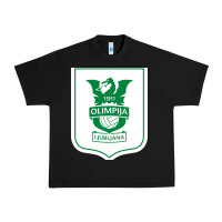 Eiteun Olimpija Ljubljana Urban Heavy Tee | Teevron