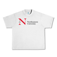 Lunar Rock The the northeastern Urban Heavy Tee - linhVisuals